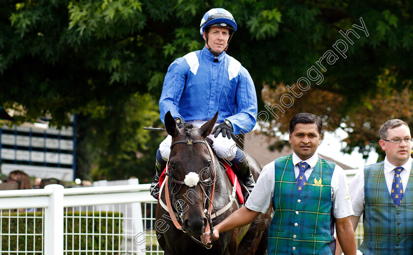 Elarqam-0006 
 ELARQAM (Jim Crowley) after The Davies Insurance Services Gala Stakes
Sandown 5 Jul 2019 - Pic Steven Cargill / Racingfotos.com