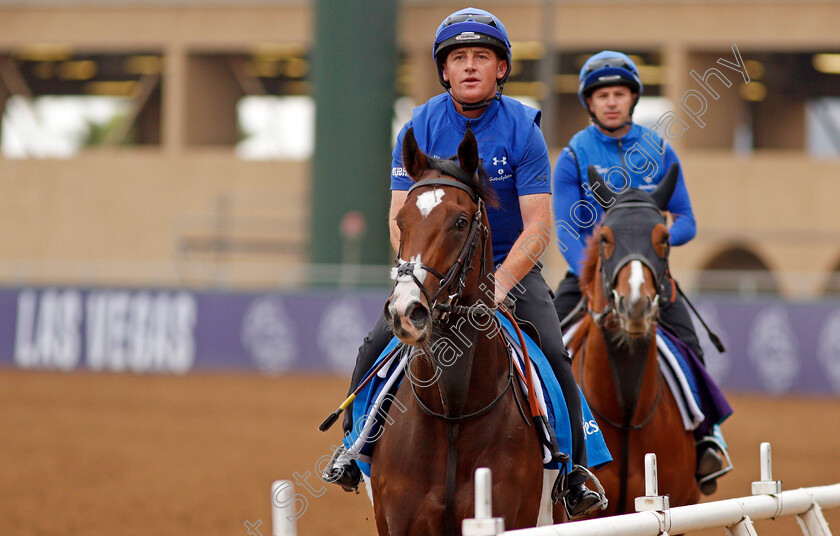 Sound-And-Silence-and-Masar 
 SOUND AND SILENCE leading MASAR exercising at Del Mar USA in preparation for The Breeders' Cup 30 Oct 2017 - Pic Steven Cargill / Racingfotos.com