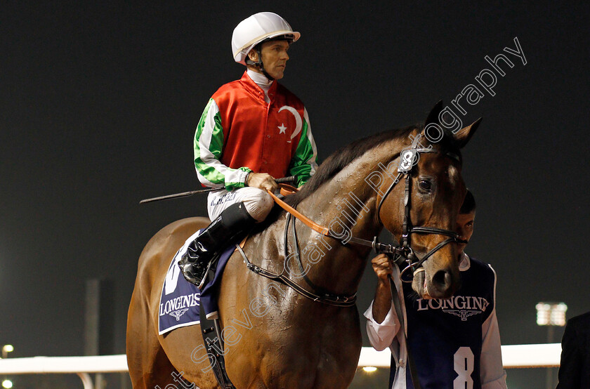 North-America-0002 
 NORTH AMERICA (Richard Mullen)
Meydan 9 Jan 2020 - Pic Steven Cargill / Racingfotos.com