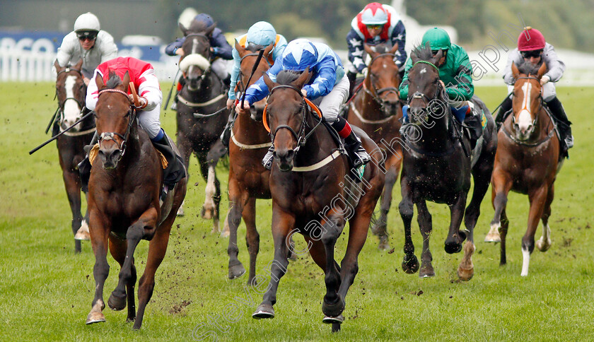 Kynren-0004 
 KYNREN (right, Ben Curtis) beats GREENSIDE (left) in The bet365 Challenge Cup 
Ascot 5 Oct 2019 - Pic Steven Cargill / Racingfotos.com