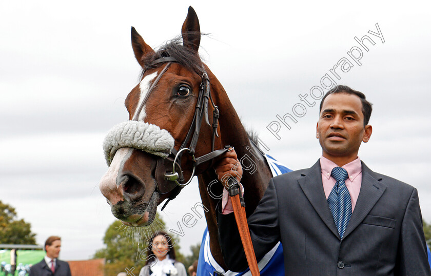 Beat-The-Bank-0010 
 BEAT THE BANK after The Shadwell Joel Stakes Newmarket 29 Sep 2017 - Pic Steven Cargill / Racingfotos.com