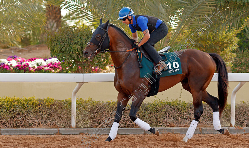 Real-World-0001 
 REAL WORLD training for The Saudi Cup
King Abdulaziz Racetrack, Riyadh, Saudi Arabia 24 Feb 2022 - Pic Steven Cargill / Racingfotos.com