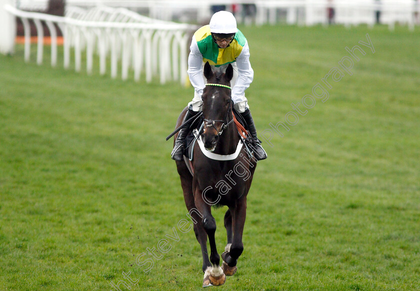 Corrany-0001 
 CORRANY (Nico de Boinville)
Newbury 22 Mar 2019 - Pic Steven Cargill / Racingfotos.com