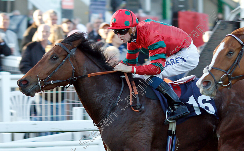 Agent-Of-Fortune-0005 
 AGENT OF FORTUNE (Joey Haynes) wins The Peter Dunnett 20 Year Memorial Handicap
Yarmouth 23 Oct 2018 - Pic Steven Cargill / Racingfotos.com