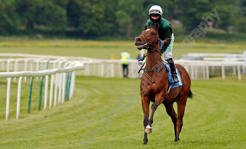 Power-Generation-0001 
 POWER GENERATION (Jason Hart)
York 11 Jun 2021 - Pic Steven Cargill / Racingfotos.com