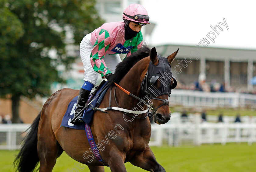 Lexington-Law-0001 
 LEXINGTON LAW (Georgia King)
Yarmouth 1 Jul 2021 - Pic Steven Cargill / Racingfotos.com