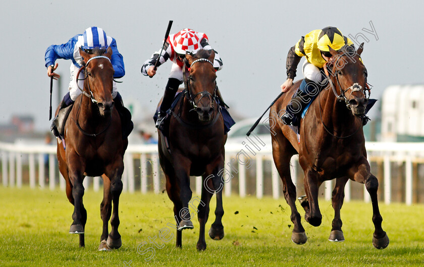 Desert-Gulf-0002 
 DESERT GULF (right, Callum Shepherd) beats EMPEROR SPIRIT (centre) and MEJTHAAM (left) in The Quinnbet Acca Bonus Handicap
Yarmouth 14 Jul 2021 - Pic Steven Cargill / Racingfotos.com