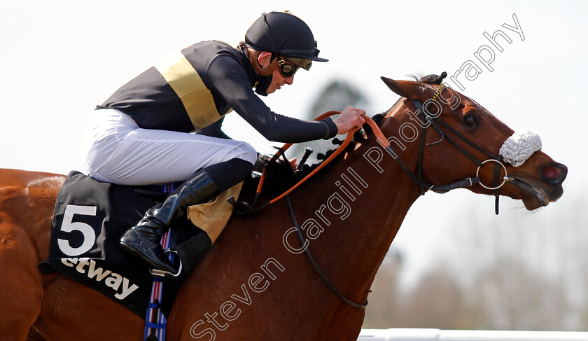 Ranch-Hand-0005 
 RANCH HAND (James Doyle) wins The Betway All-weather Marathon Championships Conditions Stakes
Lingfield 2 Apr 2021 - Pic Steven Cargill / Racingfotos.com