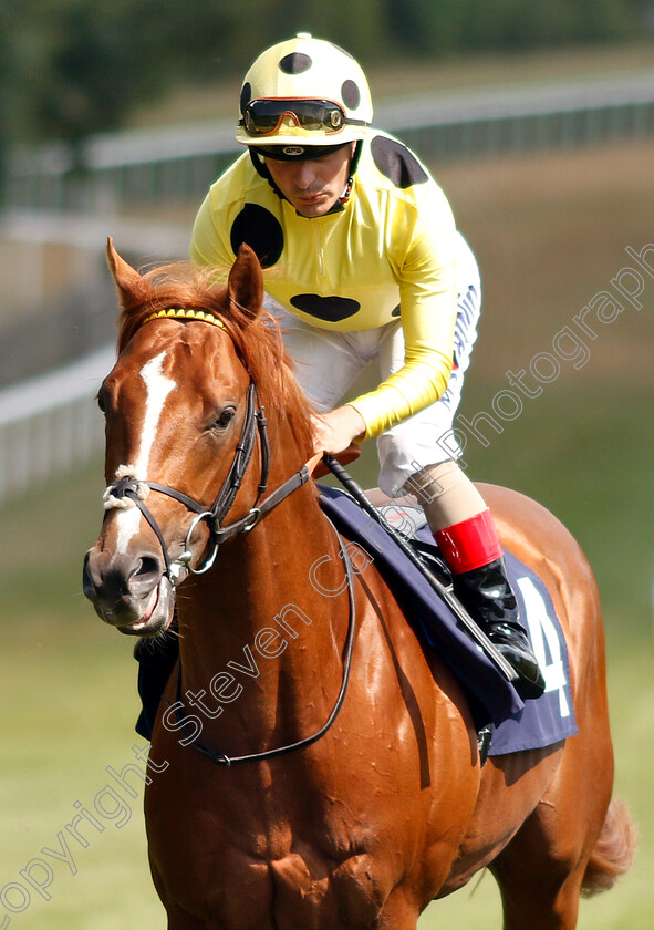 Star-Shield-0001 
 STAR SHIELD (Andrea Atzeni)
Newmarket 28 Jun 2018 - Pic Steven Cargill / Racingfotos.com