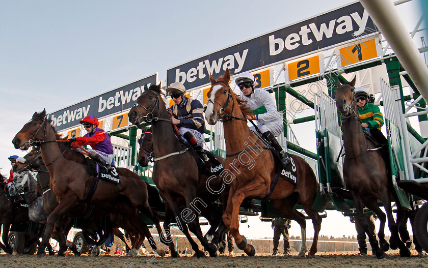 Winter-Derby-Start-0002 
 Horses break from the stalls for The Betway Winter Derby Stakes, R to L; CLEAR SKIES (Ryan Moore), UTMOST (Robert Havlin), KHALIDI (Adam Kirby), CONVEY (Joe Fanning) Lingfield 24 Feb 2018 - Pic Steven Cargill / Racingfotos.com