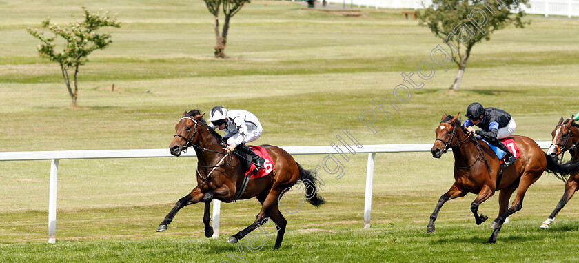 Oberyn-Martell-0004 
 OBERYN MARTELL (Charles Bishop) beats THRIVING (right) in The Daily World Cup Specials At 188bet EBF Novice Stakes
Sandown 15 Jun 2018 - Pic Steven Cargill / Racingfotos.com