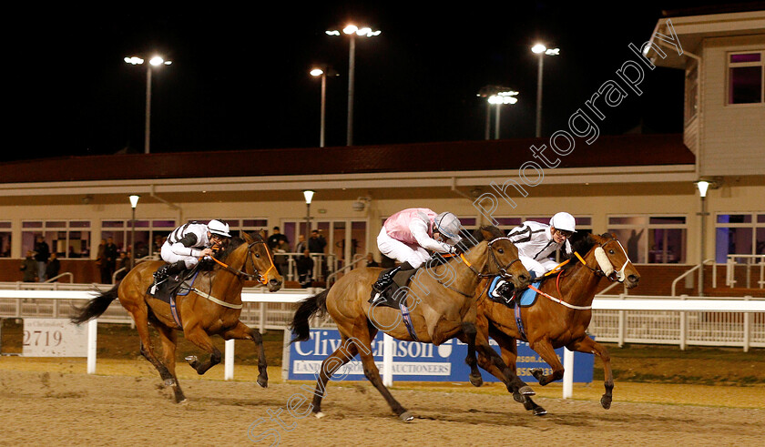 Lady-Wolf-0002 
 LADY WOLF (farside, Rob Hornby) beats CHAKRII (nearside) in The Little Leighs Handicap
Chelmsford 20 Feb 2019 - Pic Steven Cargill / Racingfotos.com