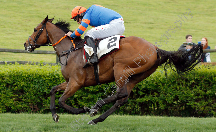 Markhan-0008 
 MARKHAN (Davy Russell) wins The George Sloan & John Sloan Sr Maiden Hurdle
Percy Warner Park, Nashville Tennessee USA, 11 May 2019 - Pic Steven Cargill / Racingfotos.com