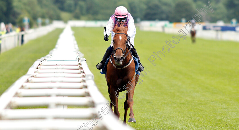 Arctic-Fox-0003 
 ARCTIC FOX (Carol Bartley) wins The Queen Mother's Cup
York 15 Jun 2019 - Pic Steven Cargill / Racingfotos.com