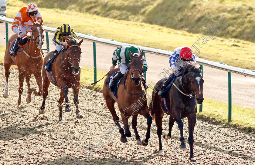 Los-Camachos-0001 
 LOS CAMACHOS (right, Fran Berry) beats POWER AND PEACE (centre) in The 32Redsport.com Novice Auction Stakes Lingfield 10 Jan 2018 - Pic Steven Cargill / Racingfotos.com