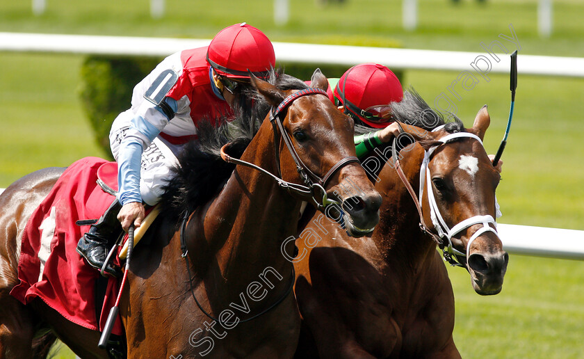 Pillar-Mountain-0005 
 PILLAR MOUNTAIN (right, Joel Rosario) beats HE'S NO LEMON (left) in Allowance
Belmont Park, USA 6 Jun 2019 - Pic Steven Cargill / Racingfotos.com