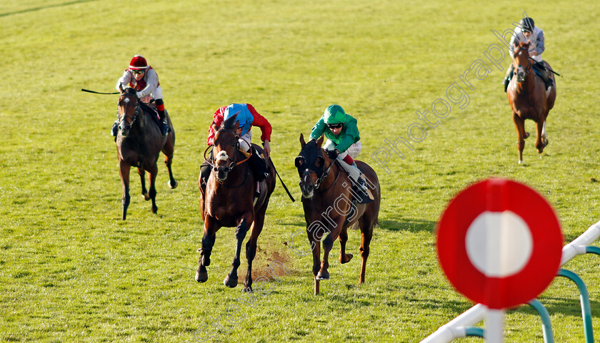 Bay-Bridge-0004 
 BAY BRIDGE (left, Ryan Moore) beats MAJESTIC DAWN (right) in The 888sport James Seymour Stakes
Newmarket 30 Oct 2021 - Pic Steven Cargill / Racingfotos.com