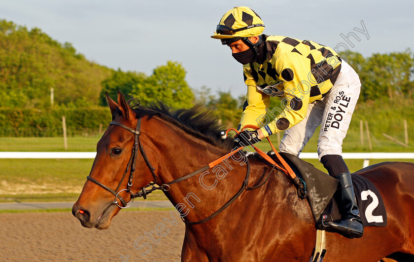 Barbara-Ann-0001 
 BARBARA ANN (Sean Levey)
Chelmsford 3 Jun 2021 - Pic Steven Cargill / Racingfotos.com