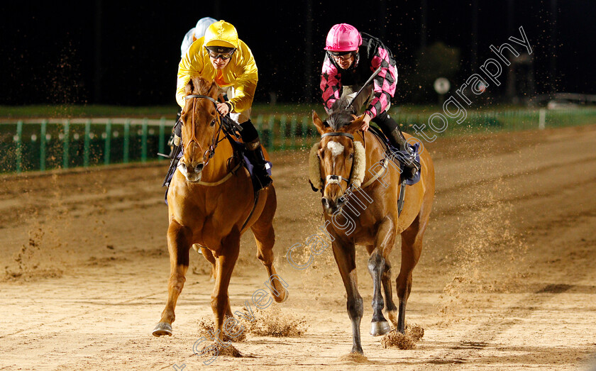 Zylan-0006 
 ZYLAN (left, Callum Rodriguez) beats PRIVATE MATTER (right) in The Betway Handicap
Southwell 15 Jan 2020 - Pic Steven Cargill / Racingfotos.com