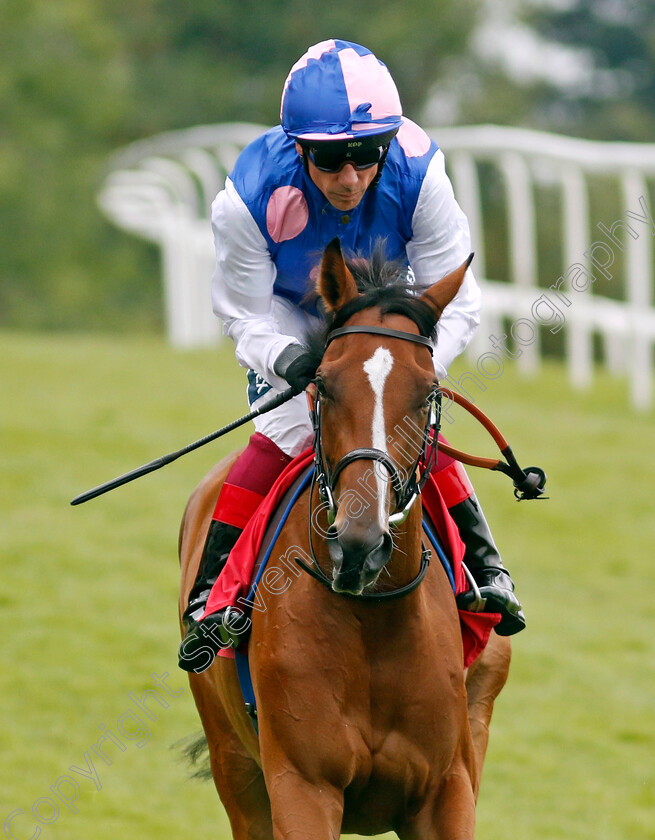 Pure-Gold-0001 
 PURE GOLD (Frankie Dettori)
Sandown 21 Jul 2022 - Pic Steven Cargill / Racingfotos.com