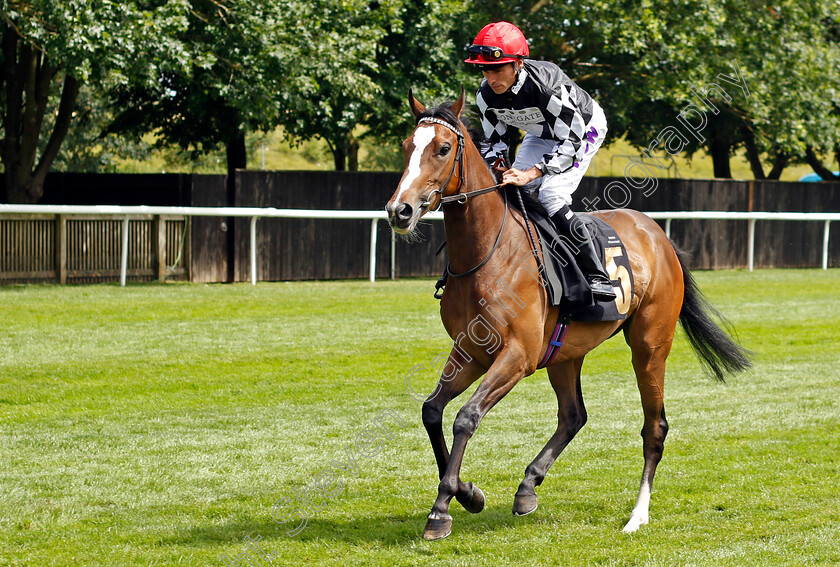 Get-Jiggy-With-It-0001 
 GET JIGGY WITH IT (Kieran Shoemark)
Newmarket 15 Jul 2023 - Pic Steven Cargill / Racingfotos.com