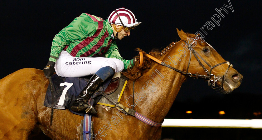 Greatest-Journey-0006 
 GREATEST JOURNEY (Alistair Rawlinson) wins The Play 4toscore At Betway Handicap
Wolverhampton 28 Nov 2018 - Pic Steven Cargill / Racingfotos.com