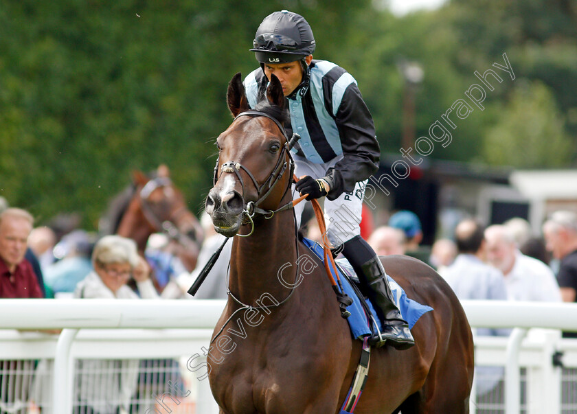 Monitor-0001 
 MONITOR (Sean Levey) 
Salisbury 11 Aug 2021 - Pic Steven Cargill / Racingfotos.com