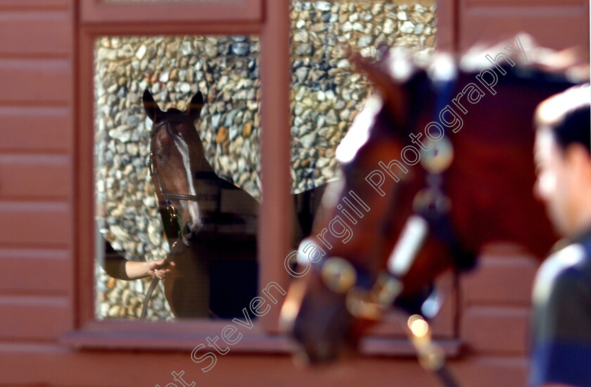 Tattersalls-0002 
 Scene ar Tattersalls Yearling Sale Book1
Newmarket 10 Oct 2018 - Pic Steven Cargill / Racingfotos.com