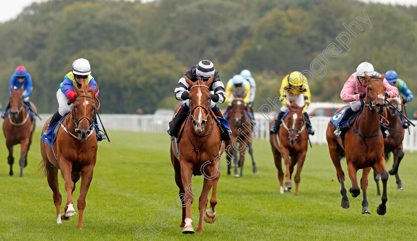 Piselli-Molli-0003 
 PISELLI MOLLI (centre, Morgan Cole) beats WINNETKA (left) in The Byerley Stud Racing Excellence Apprentice Handicap
Salisbury 2 Sep 2021 - Pic Steven Cargill / Racingfotos.com