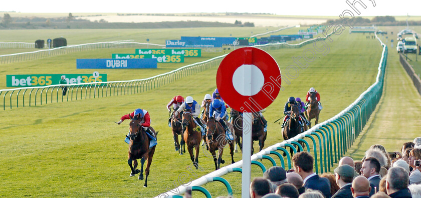 Veracious-0001 
 VERACIOUS (Ryan Moore) wins The Godolphin Under Starters Orders Maiden Fillies Stakes Newmarket 13 Oct 2017 - Pic Steven Cargill / Racingfotos.com