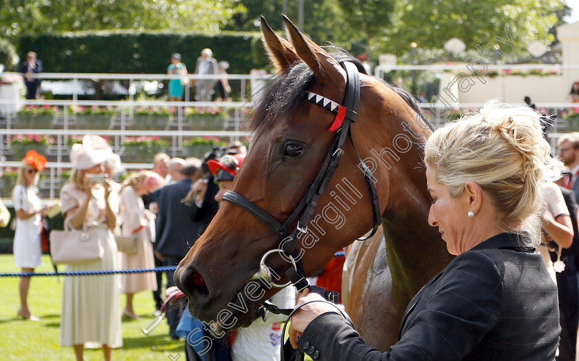 Star-Catcher-0011 
 STAR CATCHER after The Ribblesdale Stakes
Royal Ascot 20 Jun 2019 - Pic Steven Cargill / Racingfotos.com