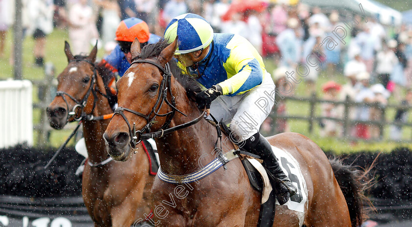 Lord-Justice-0004 
 LORD JUSTICE (Michael Mitchell) wins The Bright Hour Handicap Hurdle
Percy Warner Park, Nashville Tennessee USA 11 May 2019 - Pic Steven Cargill / Racingfotos.com