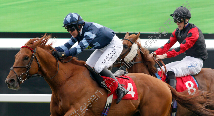 My-Boy-Sepoy-0004 
 MY BOY SEPOY (Serena Brotherton) beats STEEVE (right, Patrick Millman) in The Slug And Lettuce 2-4-1 Cocktails Amateur Riders Handicap
Sandown 8 Aug 2019 - Pic Steven Cargill / Racingfotos.com