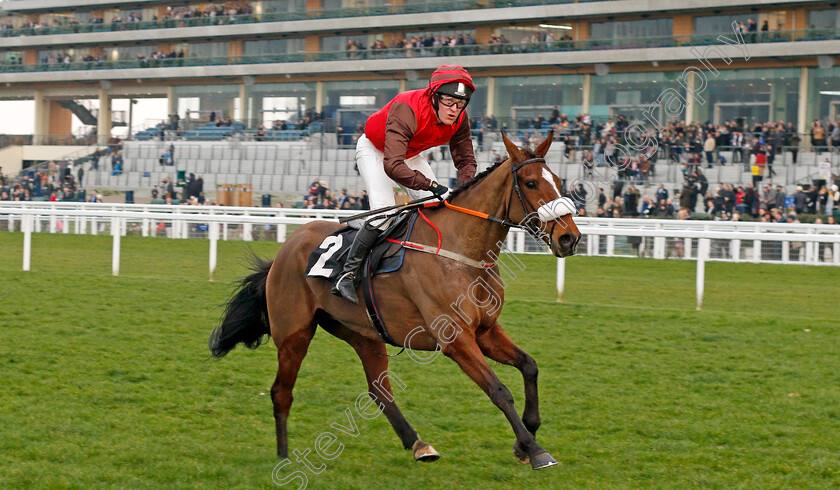 Marinero-0001 
 MARINERO (David Maxwell) wins The Colts & Fillies Club Open Hunters Chase Ascot 25 Mar 2018 - Pic Steven Cargill / Racingfotos.com