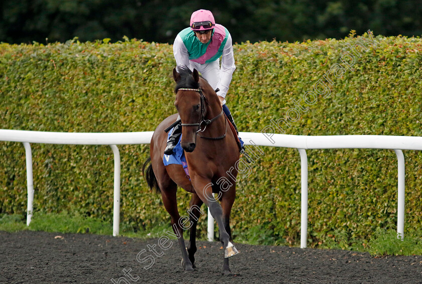 Calla-Lagoon-0001 
 CALLA LAGOON (Hector Crouch)
Kempton 7 Aug 2024 - Pic Steven Cargill / Racingfotos.com