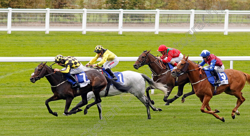 Malakahna-0004 
 MALAKAHNA (Callum Hutchinson) wins The Londonmetric Handicap
Ascot 30 Sep 2022 - Pic Steven Cargill / Racingfotos.com