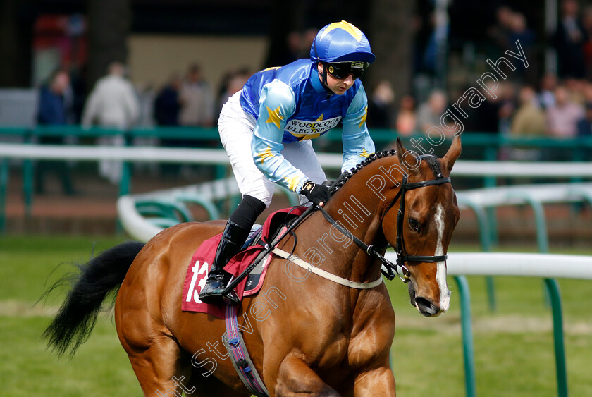 Beale-Street-0001 
 BEALE STREET (Andrew Breslin)
Haydock 8 Jun 2024 - Pic Steven Cargill / Racingfotos.com