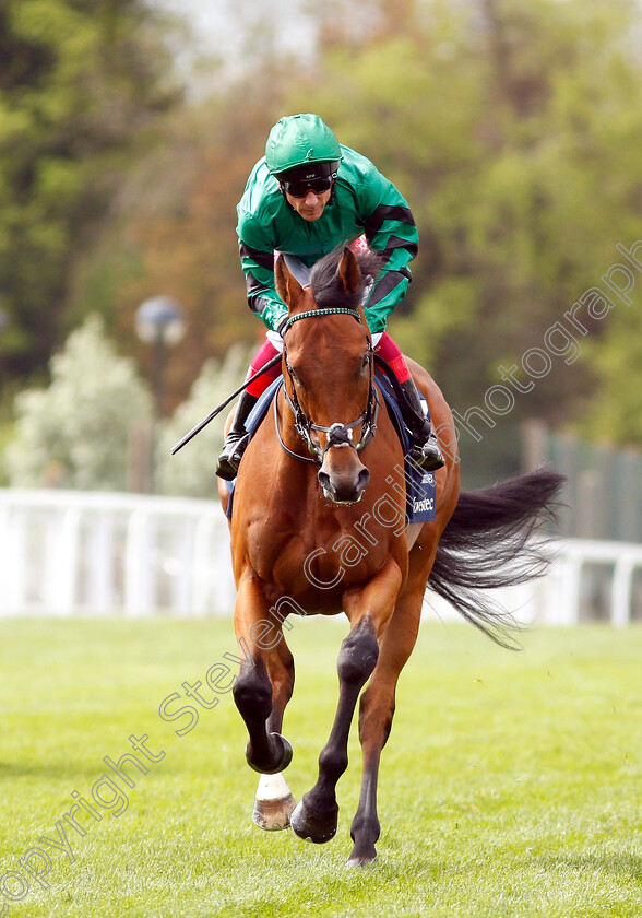 Turgenev-0001 
 TURGENEV (Frankie Dettori)
Epsom 24 Apr 2019 - Pic Steven Cargill / Racingfotos.com