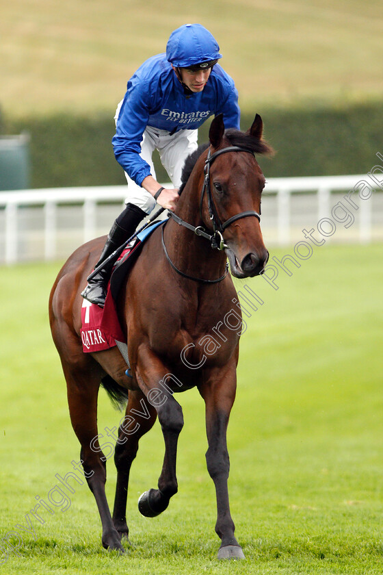 Pinatubo-0001 
 PINATUBO (James Doyle) winner of The Qatar Vintage Stakes
Goodwood 30 Jul 2019 - Pic Steven Cargill / Racingfotos.com