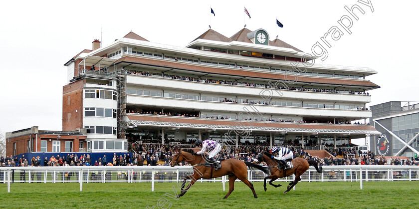 Notachance-0002 
 NOTACHANCE (Wayne Hutchinson) wins The Irwin Mitchell Private Wealth Handicap Hurdle Div1
Newbury 22 Mar 2019 - Pic Steven Cargill / Racingfotos.com