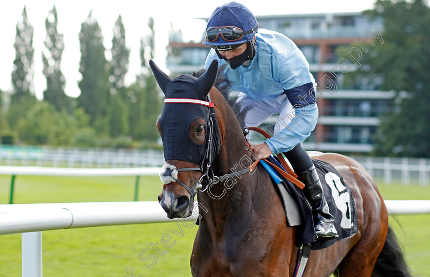 Deputy-0001 
 DEPUTY (Liam Browne)
Newbury 16 Jul 2021 - Pic Steven Cargill / Racingfotos.com