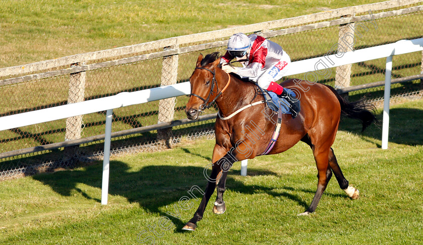 Beyond-Equal-0006 
 BEYOND EQUAL (Fran Berry) wins The Booker Ltd Handicap
Salisbury 3 Oct 2018 - Pic Steven Cargill / Racingfotos.com