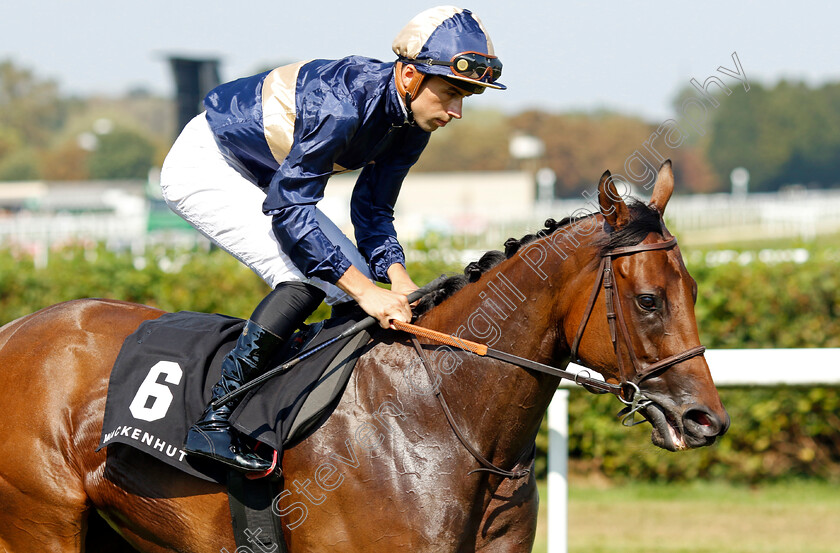 Dyptique-0001 
 DYPTIQUE (Pierre Bazire)
Baden Baden 31 Aug 2024 - Pic Steven Cargill / Racingfotos.com