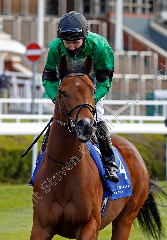 Mojomaker-0001 
 MOJOMAKER (Pat Cosgrave)
Chester 5 May 2021 - Pic Steven Cargill / Racingfotos.com