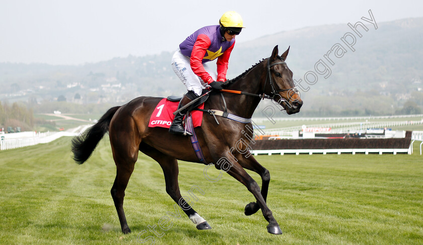 Dashel-Drasher-0001 
 DASHEL DRASHER (Matt Griffiths) winner of The Citipost Novices Hurdle
Cheltenham 17 Apr 2019 - Pic Steven Cargill / Racingfotos.com