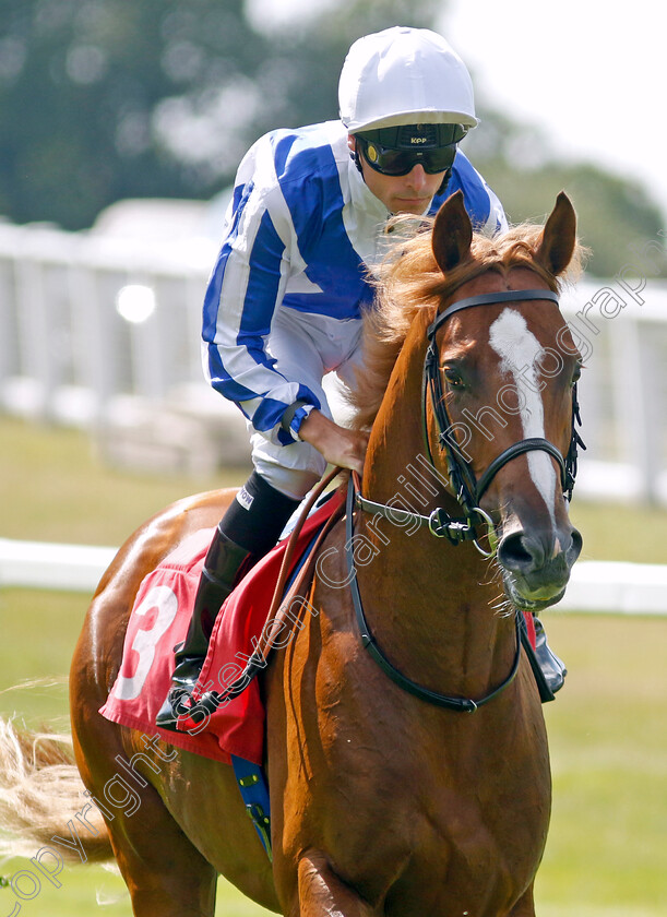 Devil s-Point-0001 
 DEVIL'S POINT (Kieran Shoemark)
Sandown 7 Jul 2023 - Pic Steven Cargill / Racingfotos.com