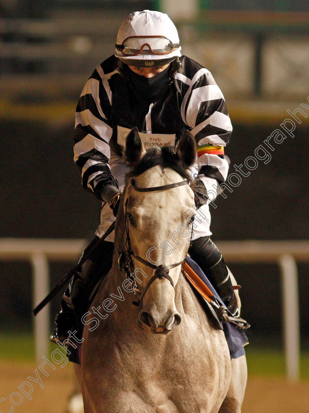 Afta-Party-0002 
 AFTA PARTY (Tom Marquand)
Wolverhampton 5 Dec 2020 - Pic Steven Cargill / Racingfotos.com