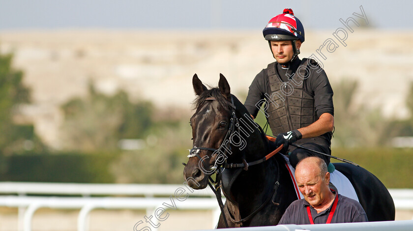 Pogo-0002 
 POGO exercising in preparation for Friday's Bahrain International Trophy
Sakhir Racecourse, Bahrain 16 Nov 2021 - Pic Steven Cargill / Racingfotos.com