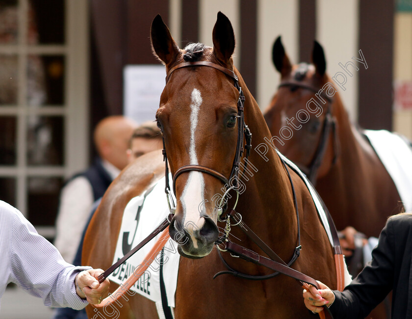 Lady-Of-Andros-0002 
 LADY OF ANDROS 
Deauville 3 Aug 2024 - Pic Steven Cargill / Racingfotos.com