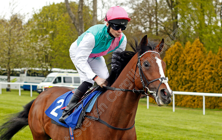 First-Eleven-0001 
 FIRST ELEVEN (Robert Havlin) Salisbury 29 Apr 2018 - Pic Steven Cargill / Racingfotos.com